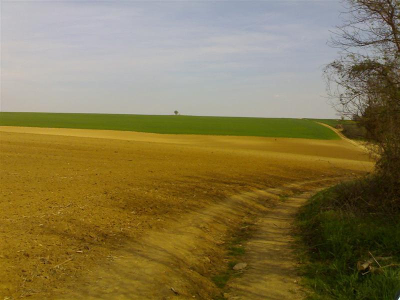 200704091705 .jpg